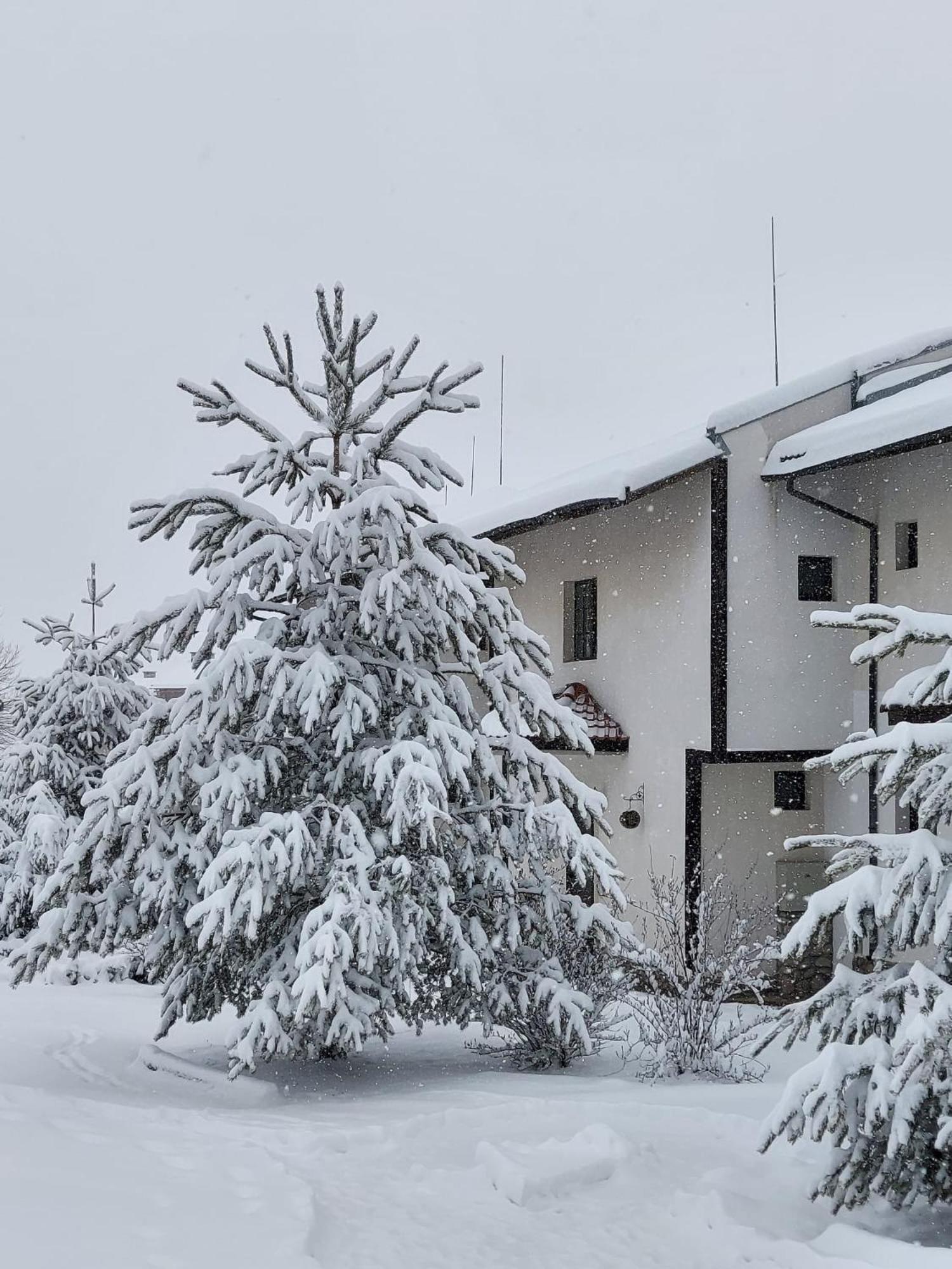 Pinerose Resort Bansko Exterior photo